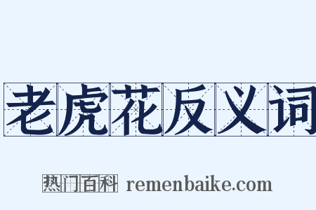 老虎花反义词是什么意思的图片